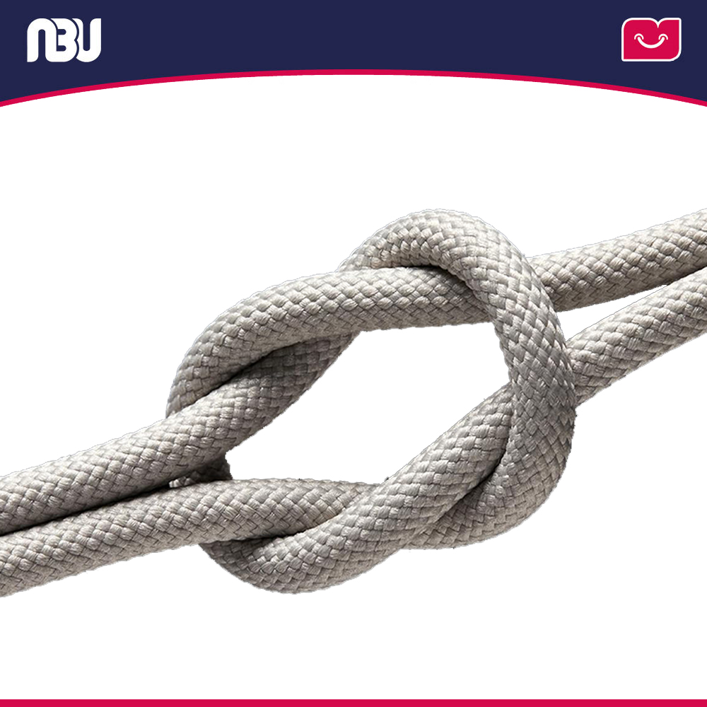 کابل شارژ سریع بیسوس100وات مدلP10319800G21-00